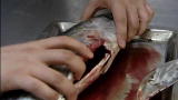 Blood, Sweat and Takeaways: Welcome to the Tuna Factory