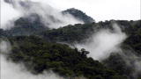 100 Places to Remember: Costa Rica, Monteverde Cloud Forest