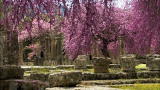 100 Places: Olympia, Greece