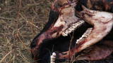 Boomtown Webisodes: The Price of Drilling: Having No Rights