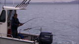 Emeril Green: The Sustainable Way To Fish