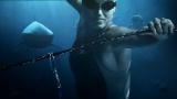 Blue August 2011: Swimming with Sharks