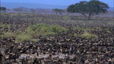 100 Places: Masai Mara, Kenya