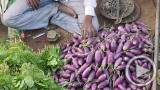 Planet 100: No To Bioengineered Eggplant (2/10)