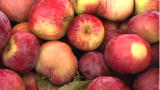 Organic A to Z: A is for Apple