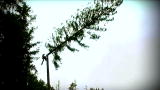 Verge: Heli-Loggers, Saturdays At 9