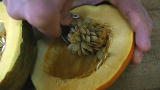 Organic A to Z: W is for Winter Squash