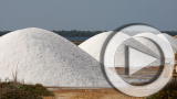 Planet 100: Water Desalination Explained