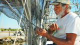 Stories from the Gulf: A Fisherman's Outlook