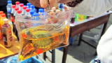 Treehugger Facebook Vlog: You Said It: Readers Comment on Animal Keychains