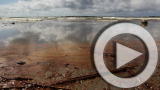 Planet 100: The Oil Spill Brain Team (5/24)