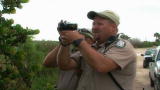 Operation Wild: Don't The Feed Gators