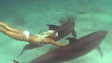 Blue August: Karina Petroni: Become An Oceana Wavemaker