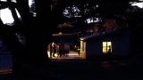 100 Places: Lebanon, The Forest of the Cedars of God