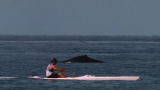 Blue August: This Island is Like a Canoe