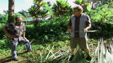 Renovation Nation 2: Palm Frans = Natural Roof