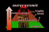 Assignment Discovery Shorts: Energy Flow