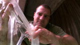 Nasty By Nature: Hag Fish Slime