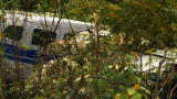 Flying Wild Alaska: Yesterday's Crash