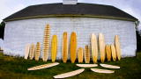 Brew Masters: Sippin Surfboards