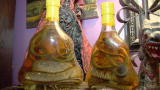 Oddities: Vietnamese Viagra
