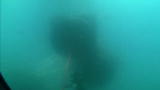 Mythbusters :Dive to Survive Angle 6