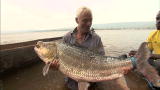 River Monsters: Series Premiere