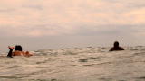 Shark Week: San Diego Surfer Attacked