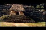 Assignment Discovery: Palenque Red Queen