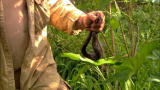 Dual Survival: Vipers In The Grass