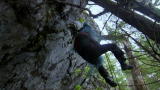 play video on Discovery Channel