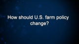 Curiosity: Nicolette and Bill Niman: US Farm Policy