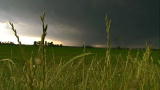 Storm Chasers: Behold the Beast