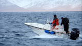 Chasing The Catch: Witness To A Sinking