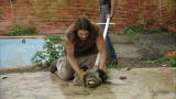 The Colony :Gator Wrangling