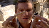play video on Discovery Channel