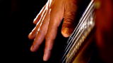 Time Warp: Robert Trujillo Close Up