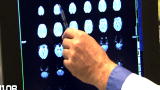 Curiosity: Brain Activity