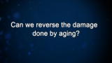 Curiosity: Aubrey de Grey: Reverse Aging?