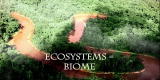 Assignment Discovery Shorts: Tropical Ecosystem