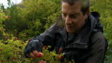 Man vs. Wild: Snack on the Go