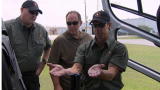 Sons of Guns: Arming A Gunship