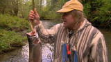 Dual Survival: Easy Salmon Catch