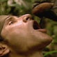 Survival Zone: Jungle: Food & Water