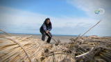 Man vs. Wild: Grylls vs. Georgia