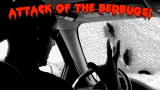 Storm Chasers: Attack of the Bedbugs!