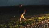 Storm Chasers: Harvesting Hail