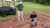 Hogs Gone Wild: Massive Pig Problems