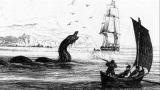 Prehistoric Denver: Plesiosaur Sea