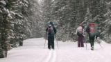 Discover National Parks: Shaped by Winter